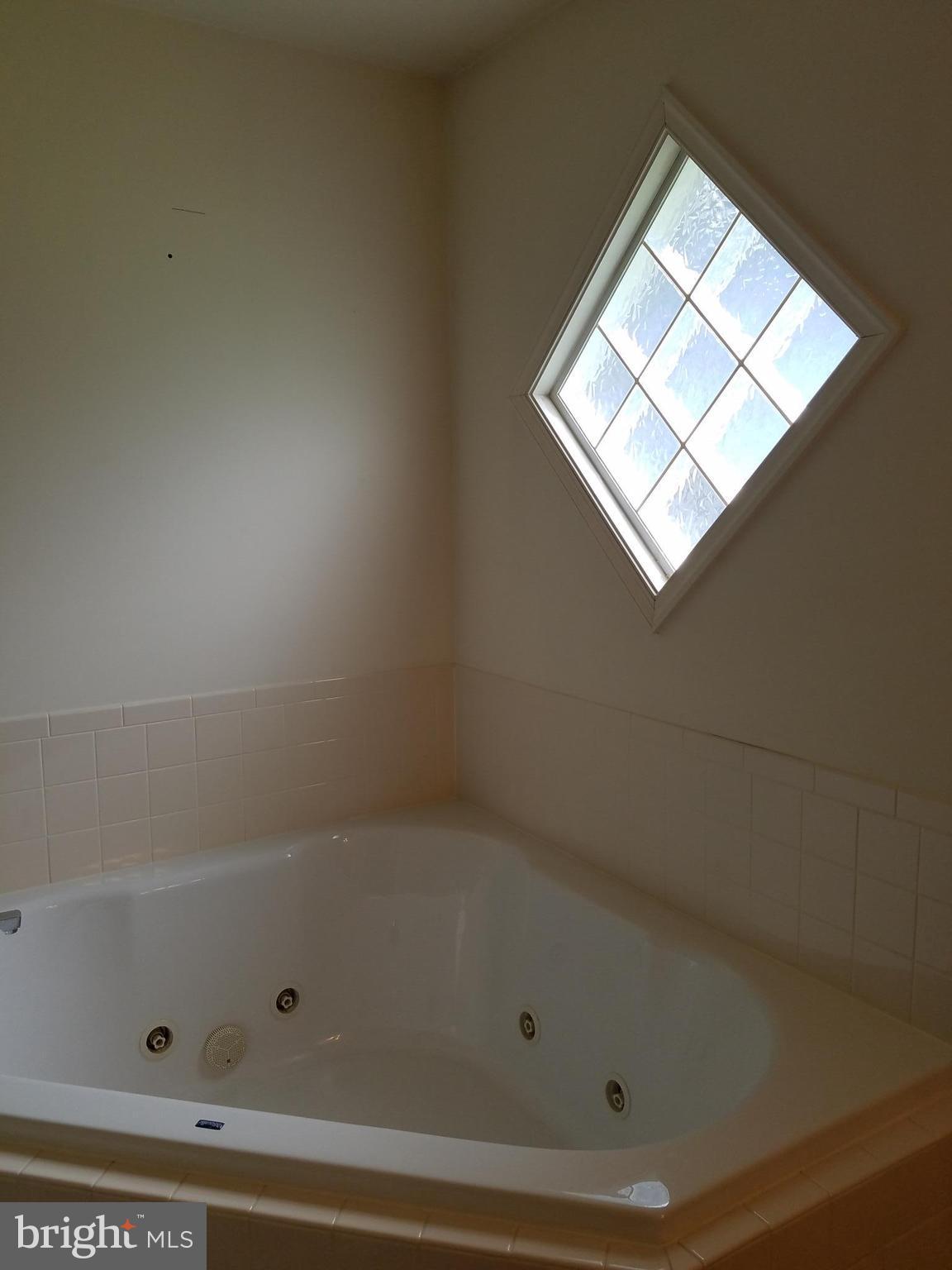 13837 Post Oak Road Spotsylvania, VA 22551 - Photo 24 of 30 Jetted tub