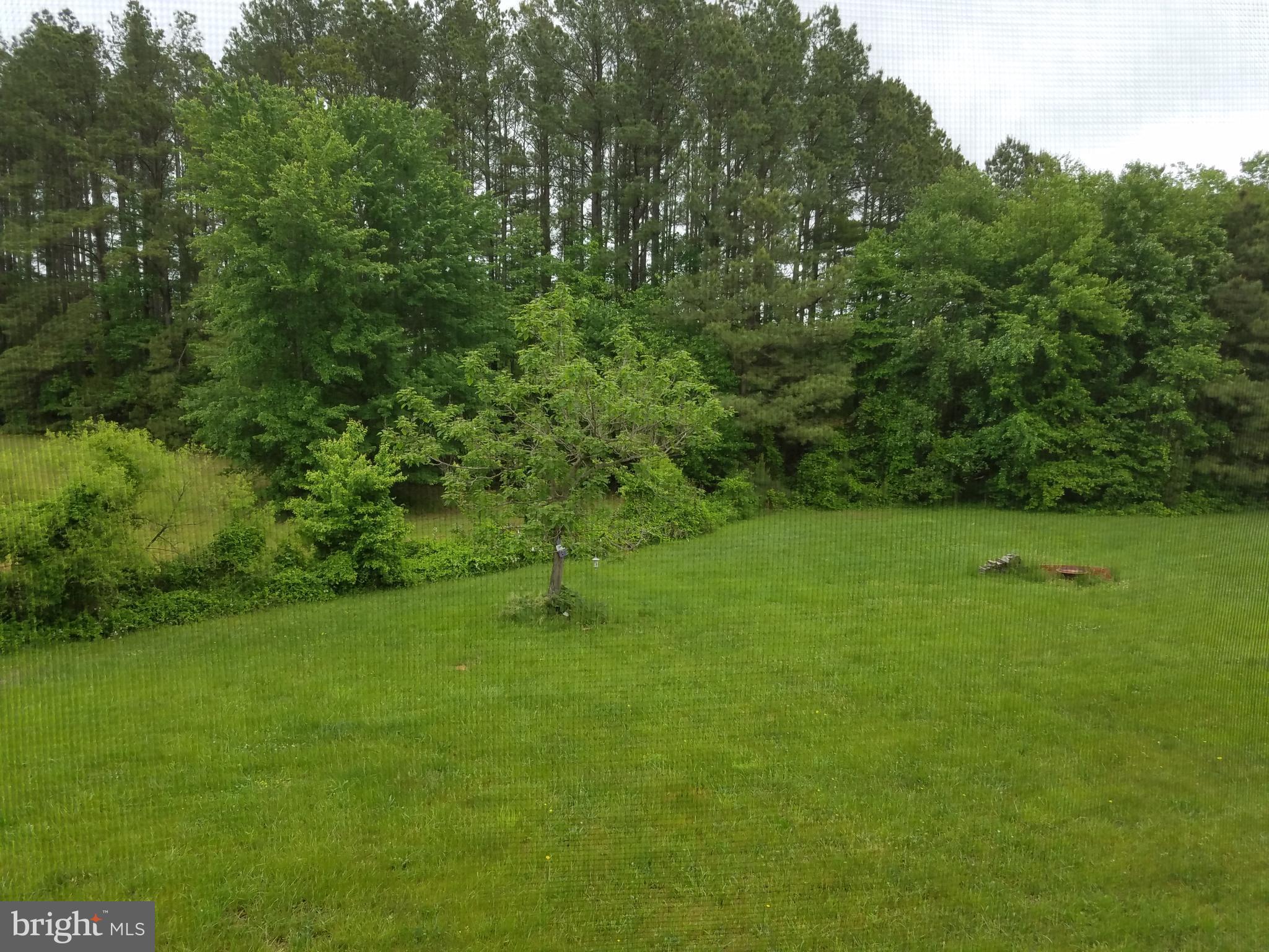 13837 Post Oak Road Spotsylvania, VA 22551 - Photo 6 of 30 Private rear yard.