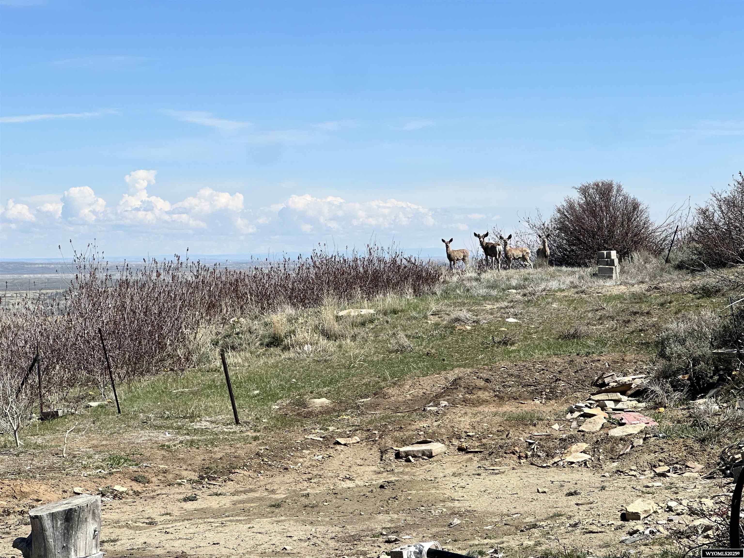 Aspen Springs Kemmerer, WY 83101 - Photo 6 of 12
