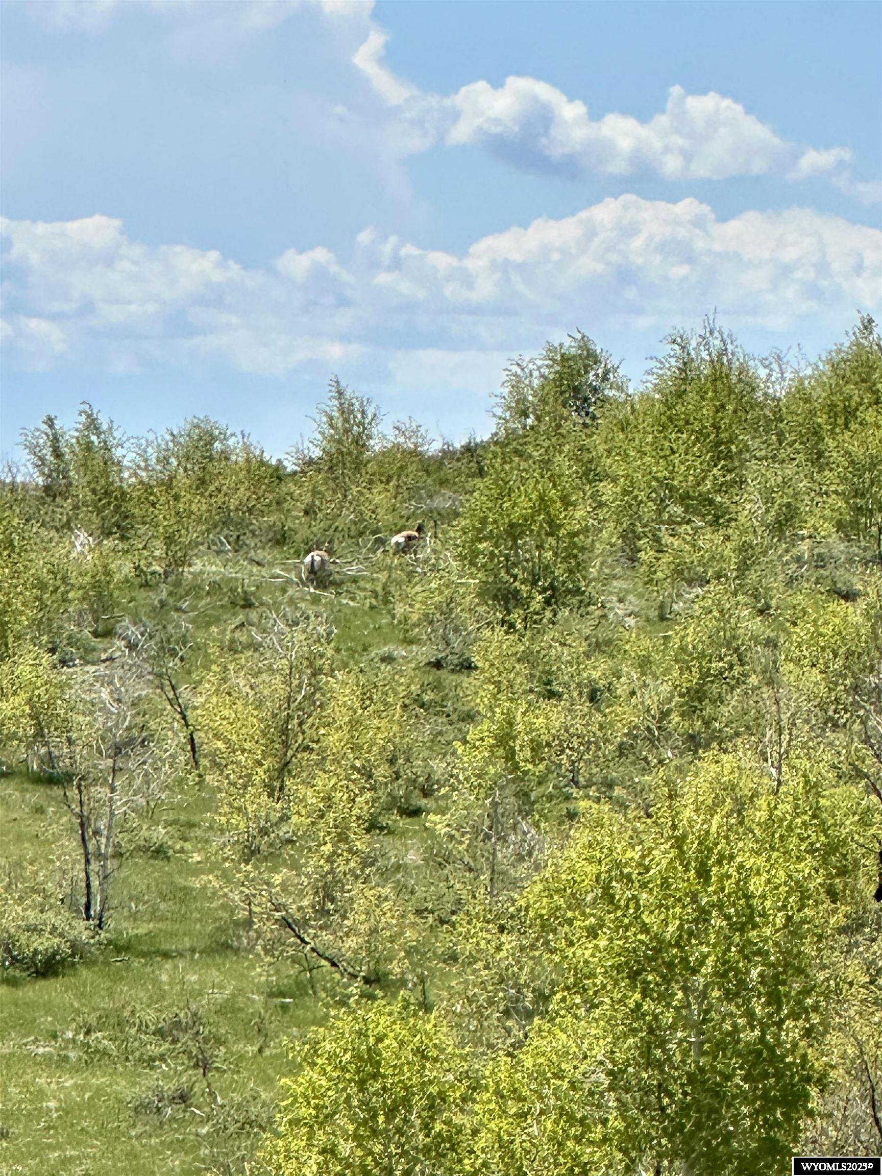 Aspen Springs Kemmerer, WY 83101 - Photo 10 of 12