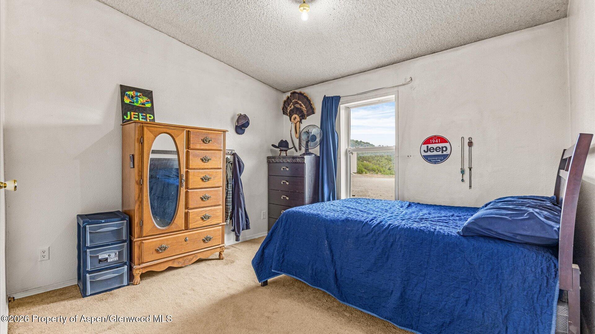 2055 Grass Mesa Road Rifle, CO 81650 - Photo 15 of 27 19-2055 Grass Mesa Rd-19