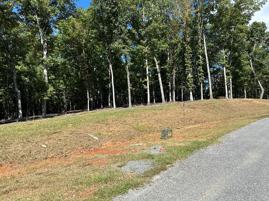 44 Ridge Drive Morganton, GA 30560 - Photo 3 of 10 Gallery Image 3