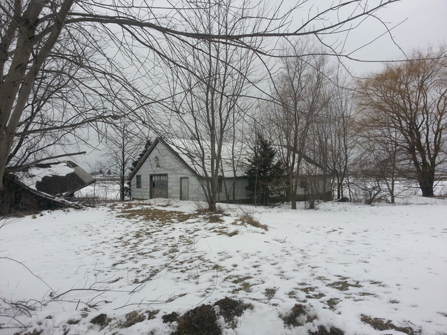 1453 Houghtby Road Shabbona, IL 60550 - Photo 21 of 22 a large tree in front of a house