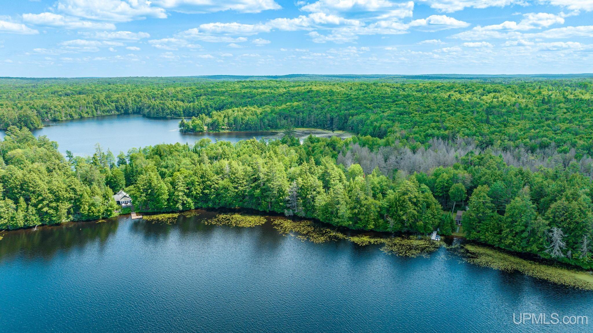 Tbd Tbd En-a-wen-da-win Road Watersmeet, MI 49969 - Photo 24 of 35
