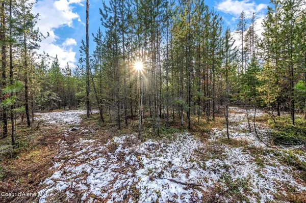 $399,000 | Lot 3 Reeder Bay Road, Nordman, ID 83848
