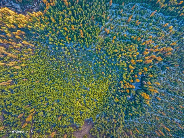 $399,000 | Lot 3 Reeder Bay Road, Nordman, ID 83848