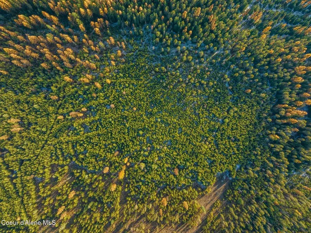 $399,000 | Lot 3 Reeder Bay Road, Nordman, ID 83848