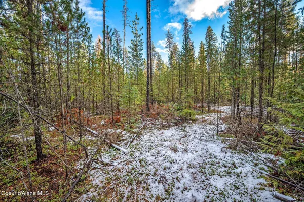 $399,000 | Lot 3 Reeder Bay Road, Nordman, ID 83848