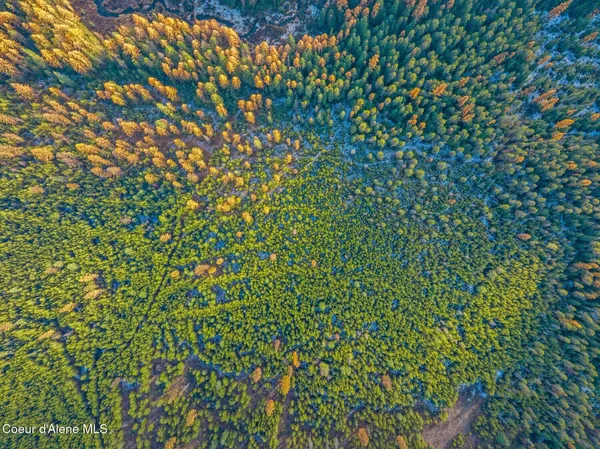 $399,000 | Lot 3 Reeder Bay Road, Nordman, ID 83848