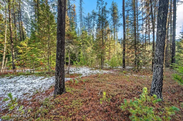 $399,000 | Lot 3 Reeder Bay Road, Nordman, ID 83848
