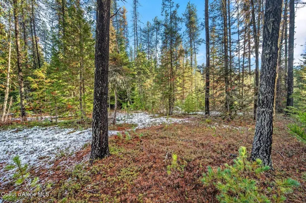 $399,000 | Lot 3 Reeder Bay Road, Nordman, ID 83848