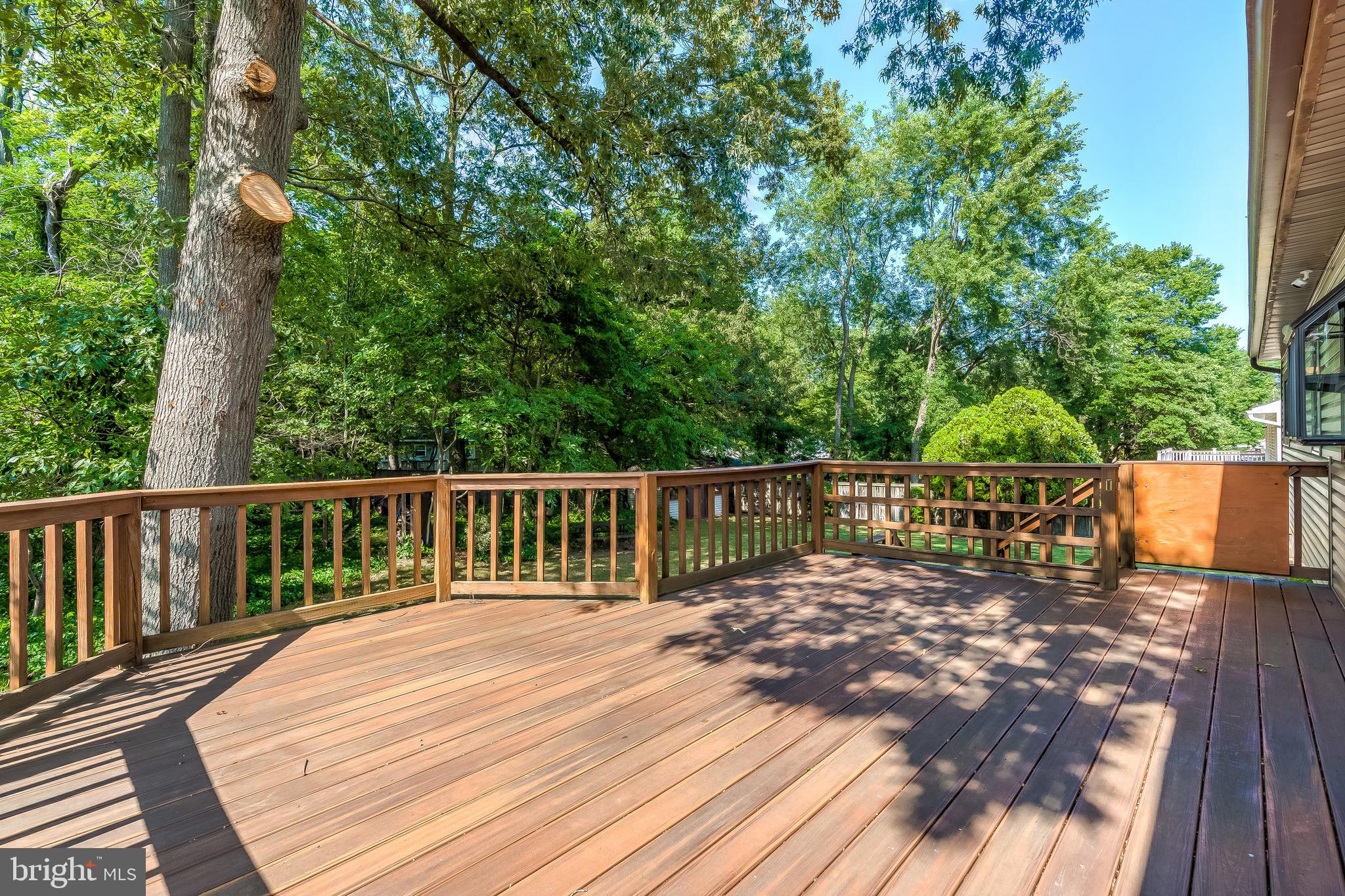 896 Beech Tree Road Severn, MD 21144 - Photo 20 of 44