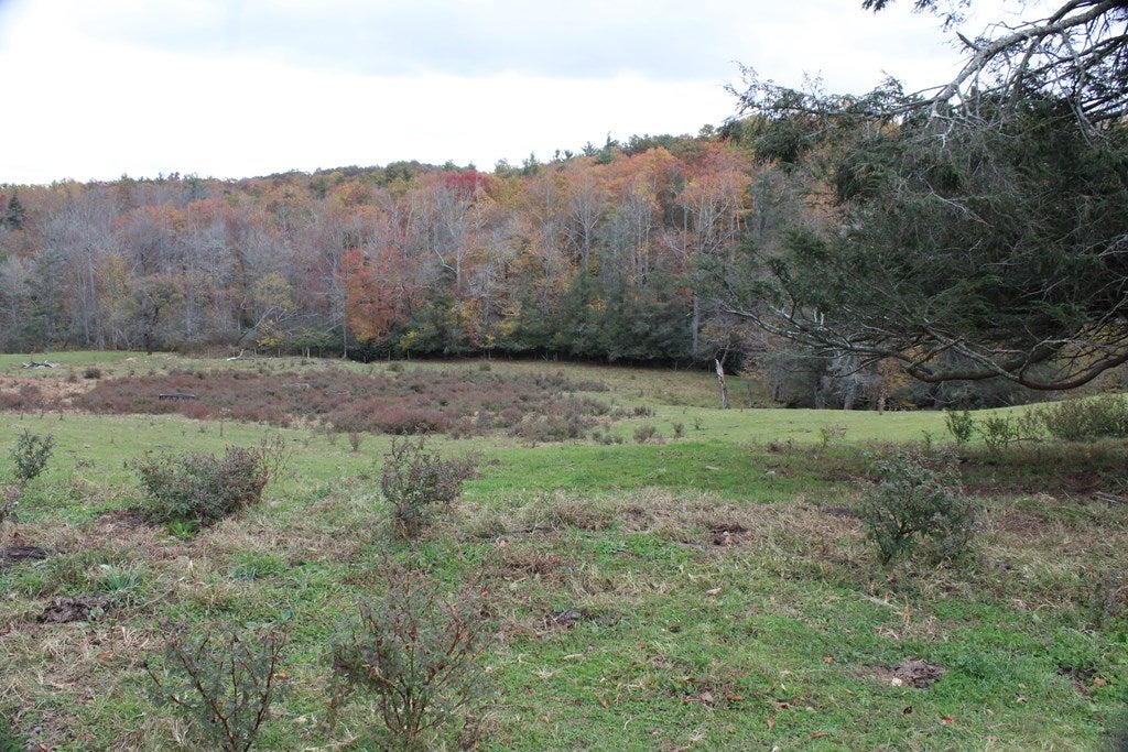 Tbd Terry's Mill Road, Unit 121A61 Laurel Fork, VA 24352 - Photo 60 of 71 Gallery Image 60