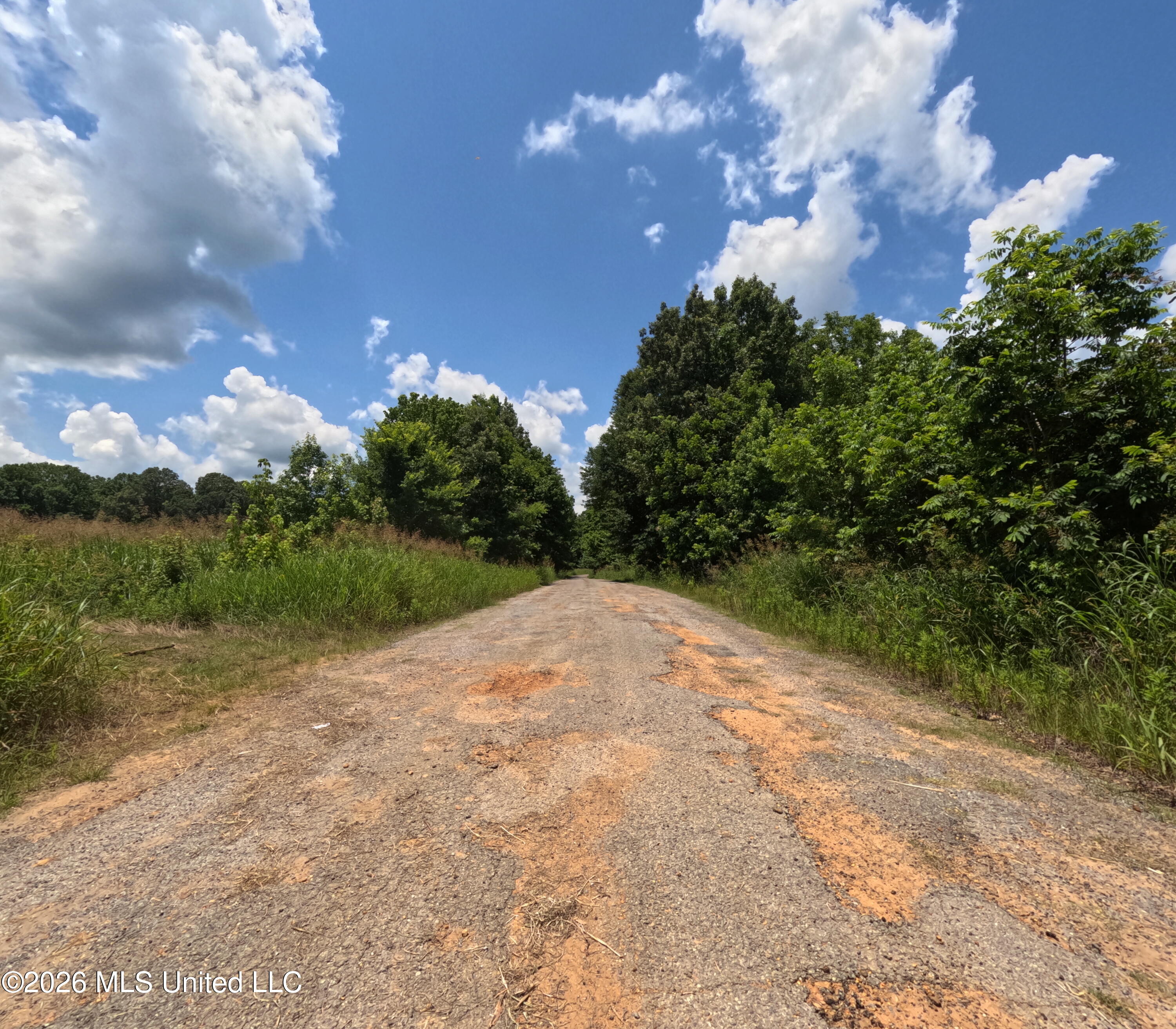 Old Port Edwards, MS 39066 - Photo 20 of 65 GOPR2260