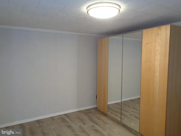 a view of a yard with trees