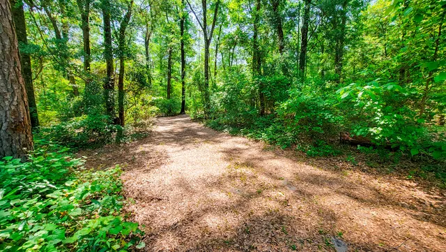 $577,000 | 328 Sandy Springs Circle, Walterboro, SC 29488