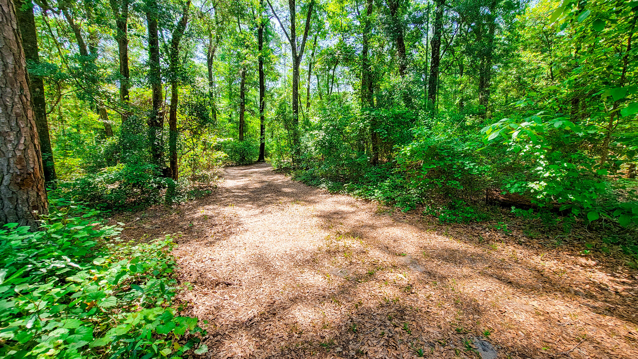 328 Sandy Springs Circle Walterboro, SC 29488 - Photo 26 of 26 20220505_110321 2