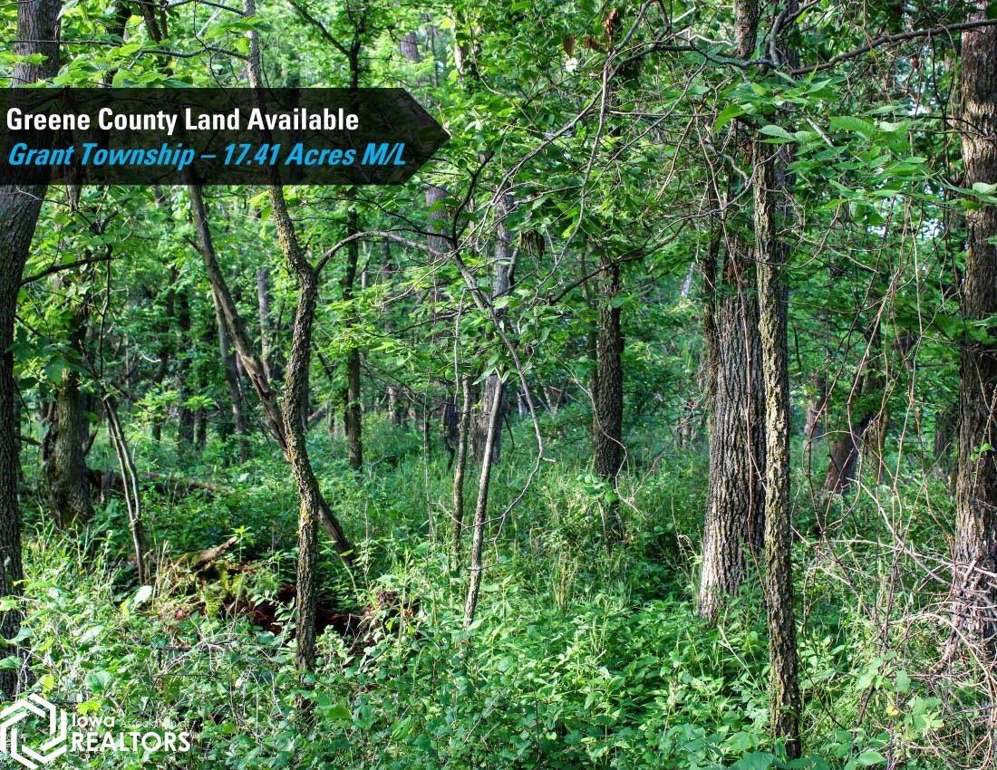County Road Jefferson, IA 50129 - Photo 16 of 19 Gallery Image 16