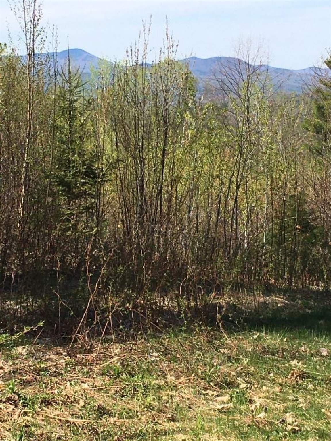 100 Simonds Road Dalton, NH 03598 - Photo 12 of 13