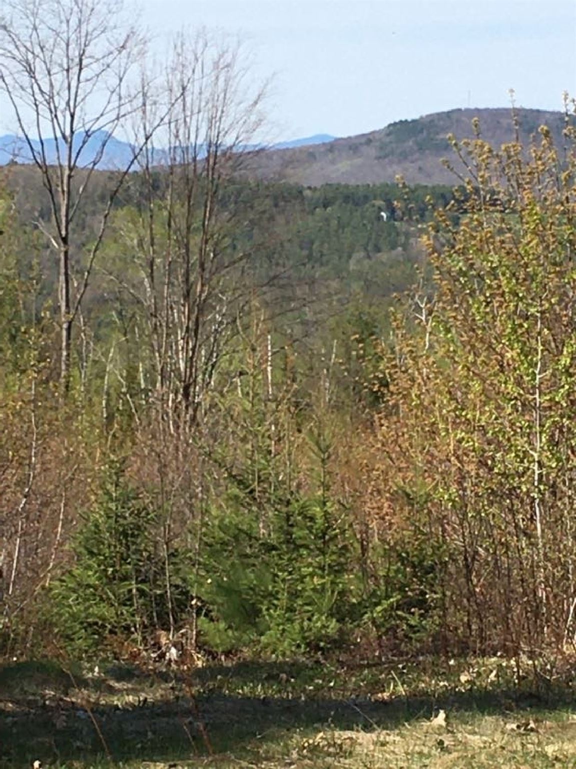 100 Simonds Road Dalton, NH 03598 - Photo 13 of 13