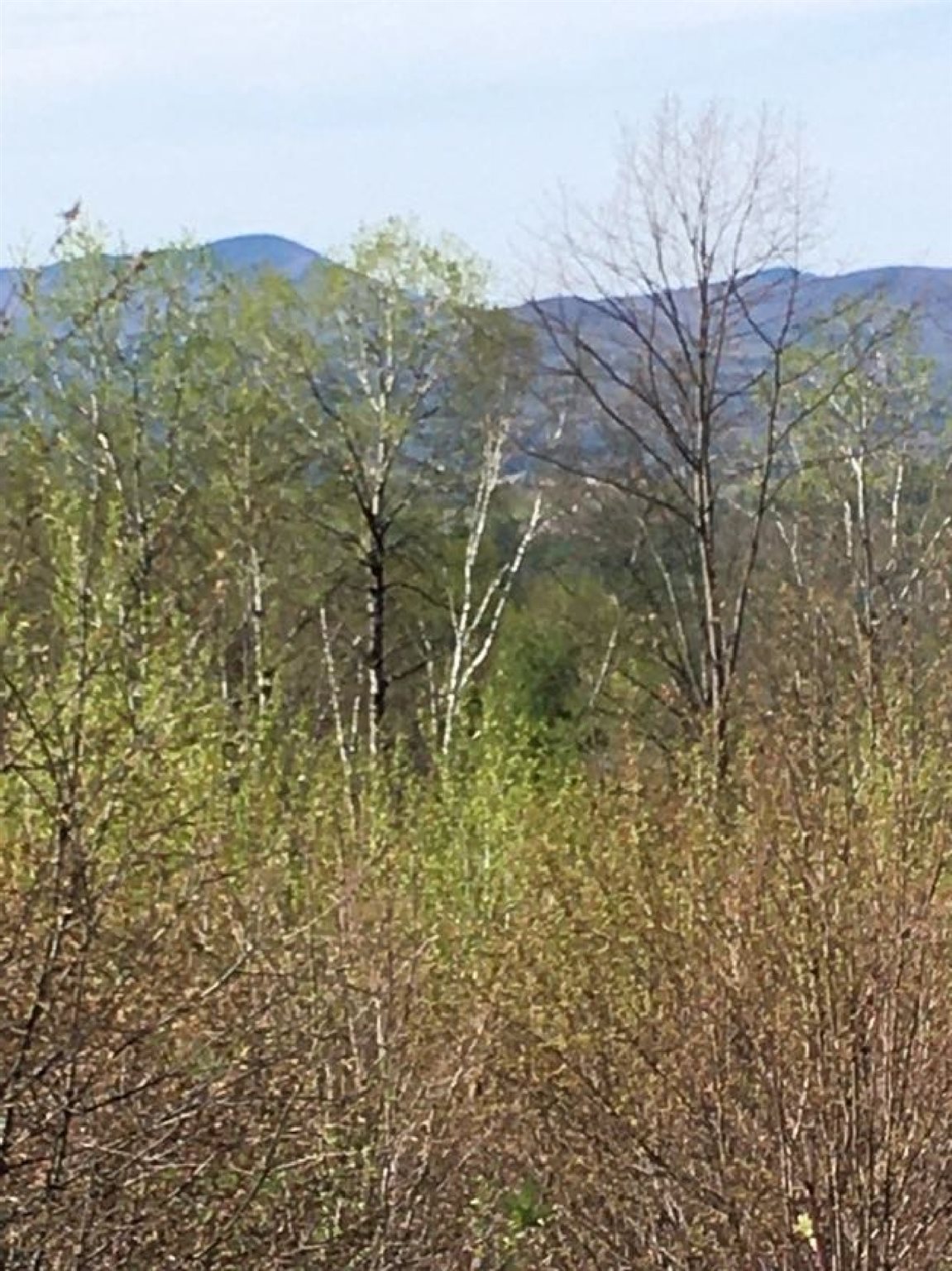 100 Simonds Road Dalton, NH 03598 - Photo 8 of 13