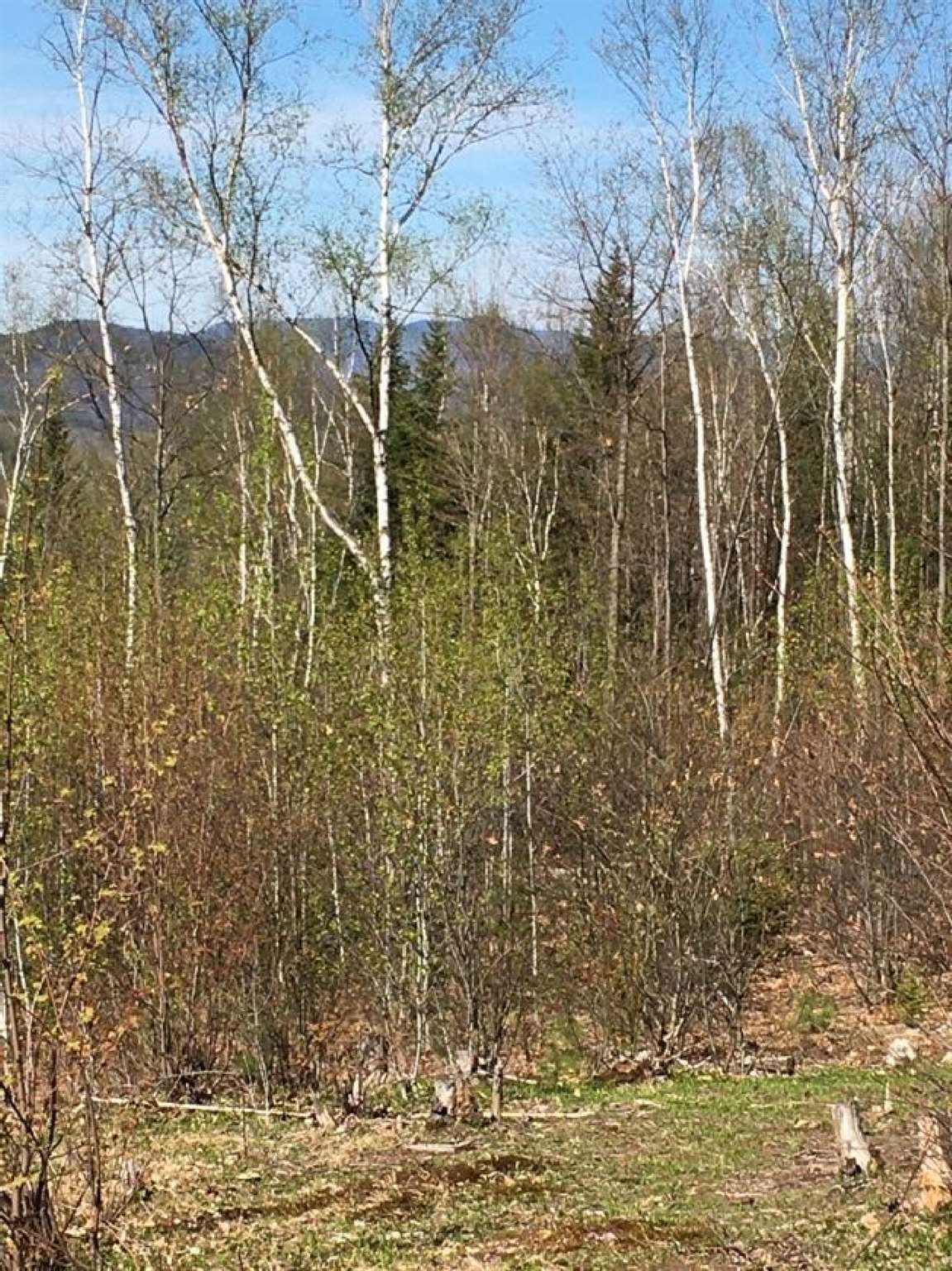 100 Simonds Road Dalton, NH 03598 - Photo 9 of 13