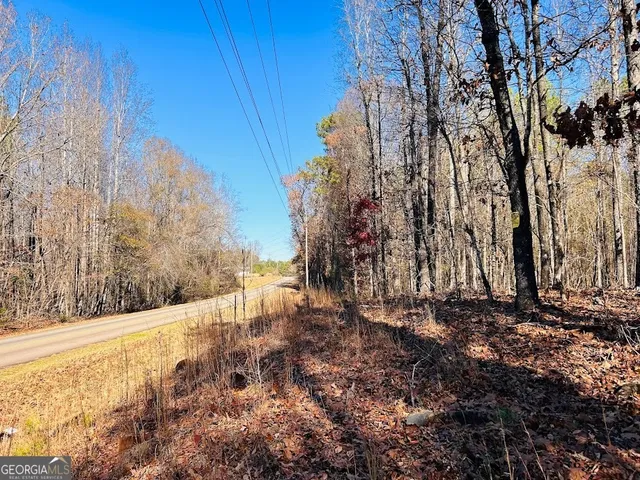 a view of a yard with trees