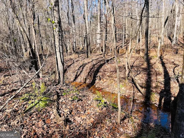 a backyard of a building with trees