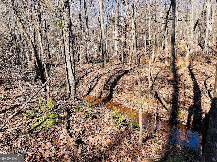 0 Rocky Mount Road Luthersville, GA 30251 - Photo 11 of 18 a backyard of a house with lots of green space