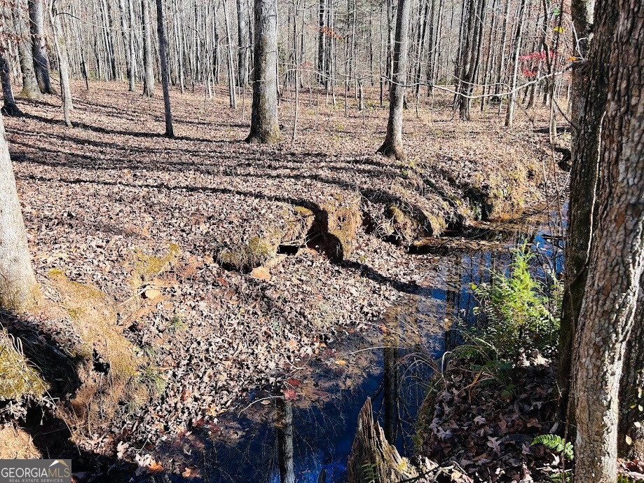 0 Rocky Mount Road Luthersville, GA 30251 - Photo 12 of 18 a view of a backyard of the house