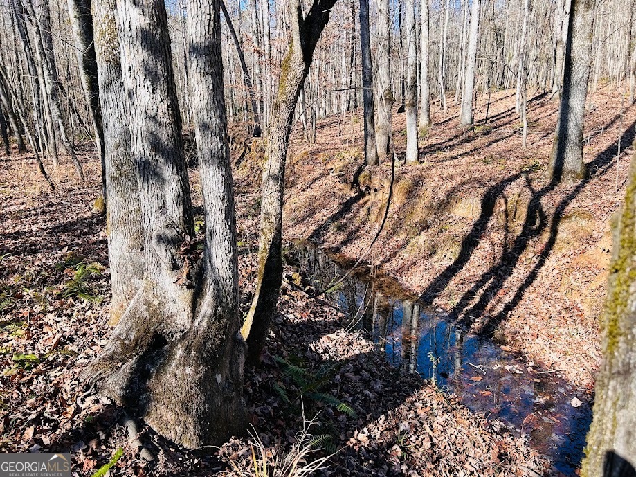 0 Rocky Mount Road Luthersville, GA 30251 - Photo 13 of 18 a backyard of a building with trees