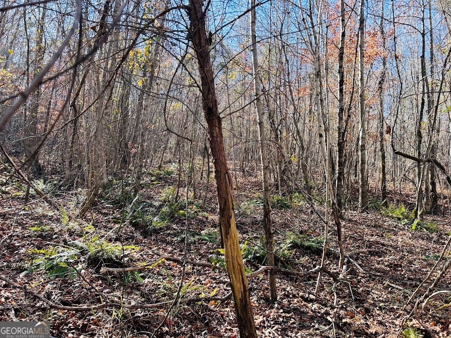 0 Rocky Mount Road Luthersville, GA 30251 - Photo 15 of 18