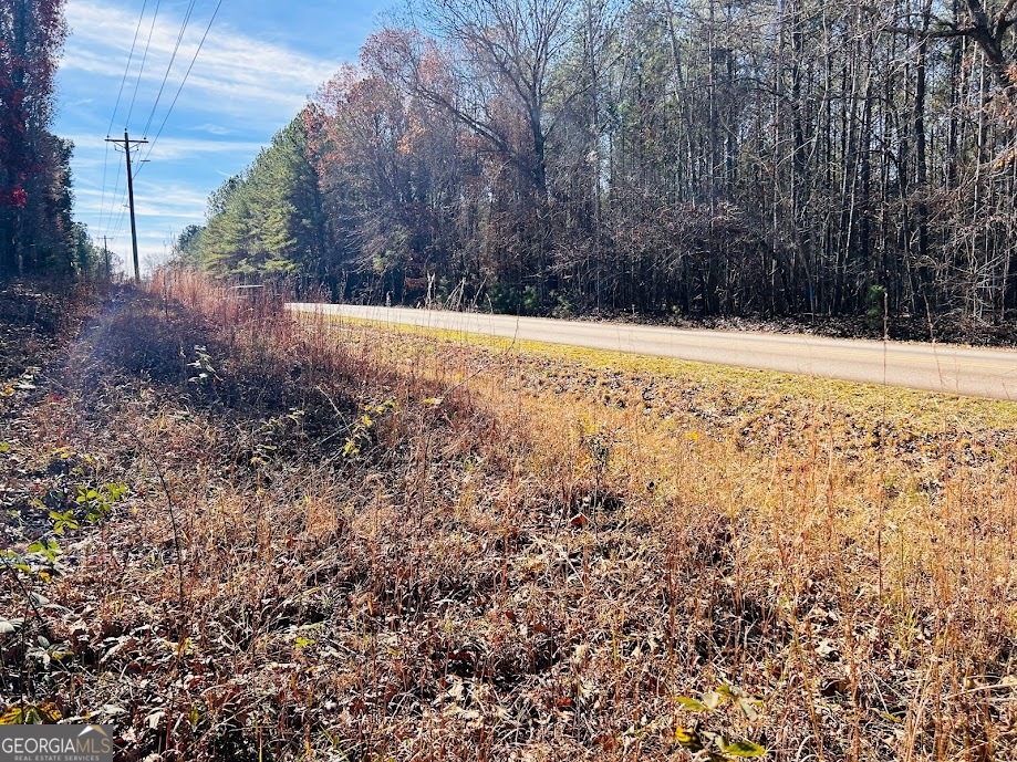 0 Rocky Mount Road Luthersville, GA 30251 - Photo 16 of 18 a view of yard covered with snow
