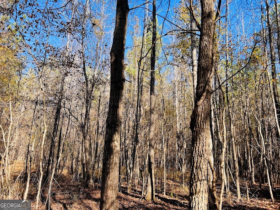 0 Rocky Mount Road Luthersville, GA 30251 - Photo 3 of 18 a view of forest