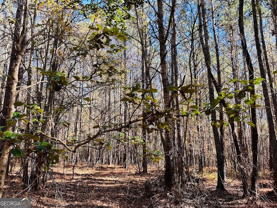 0 Rocky Mount Road Luthersville, GA 30251 - Photo 4 of 18 a view of yard with green space