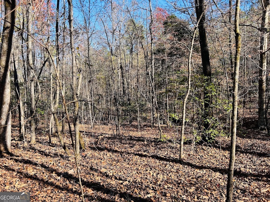 0 Rocky Mount Road Luthersville, GA 30251 - Photo 5 of 18 a view of a pathway