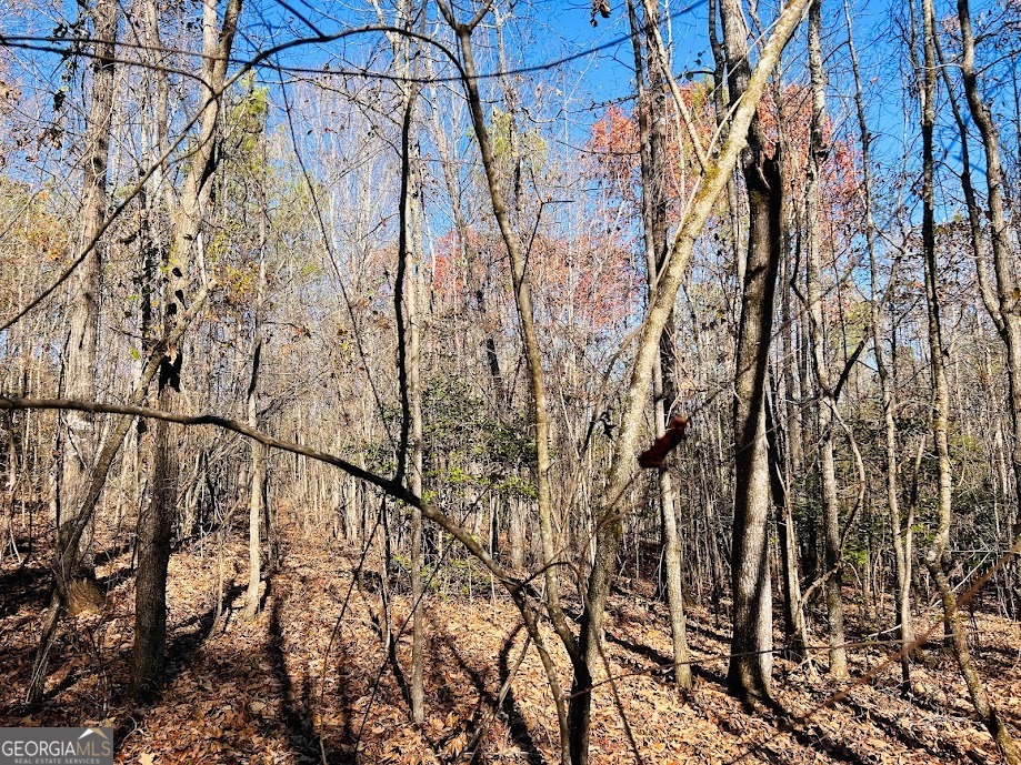 0 Rocky Mount Road Luthersville, GA 30251 - Photo 6 of 18