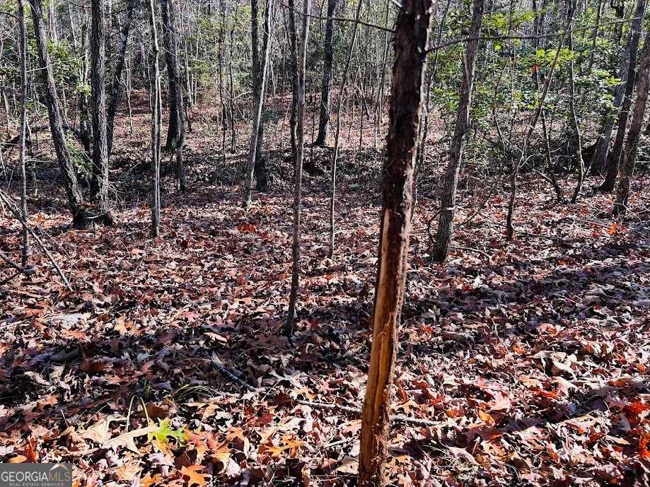 0 Rocky Mount Road Luthersville, GA 30251 - Photo 7 of 18 a view of a forest
