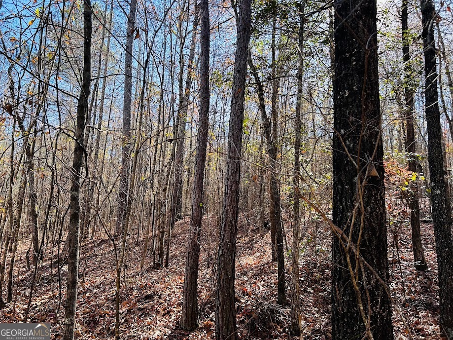 0 Rocky Mount Road Luthersville, GA 30251 - Photo 8 of 18 a view of forest