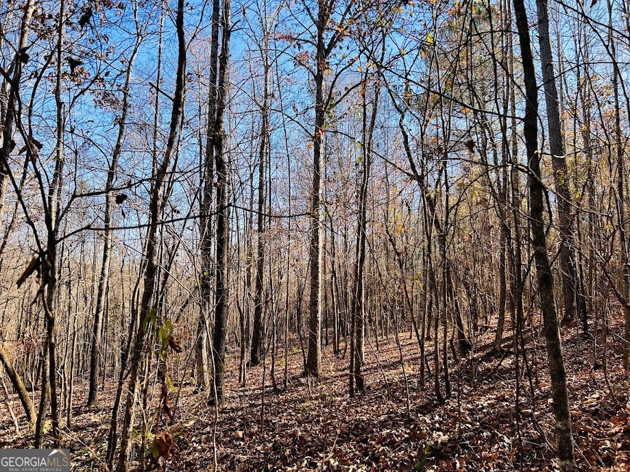 0 Rocky Mount Road Luthersville, GA 30251 - Photo 9 of 18 a backyard of a house with lots of green space