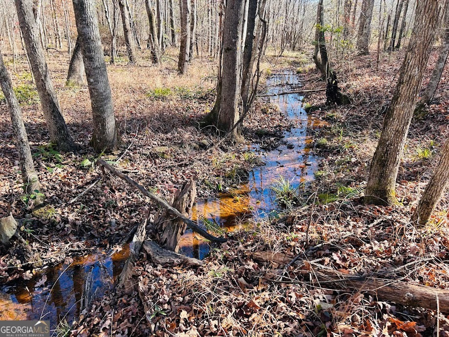 0 Rocky Mount Road Luthersville, GA 30251 - Photo 10 of 18 a backyard of a house with lots of green space