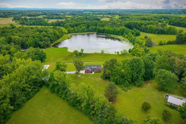 a view of a garden with an outdoor space
