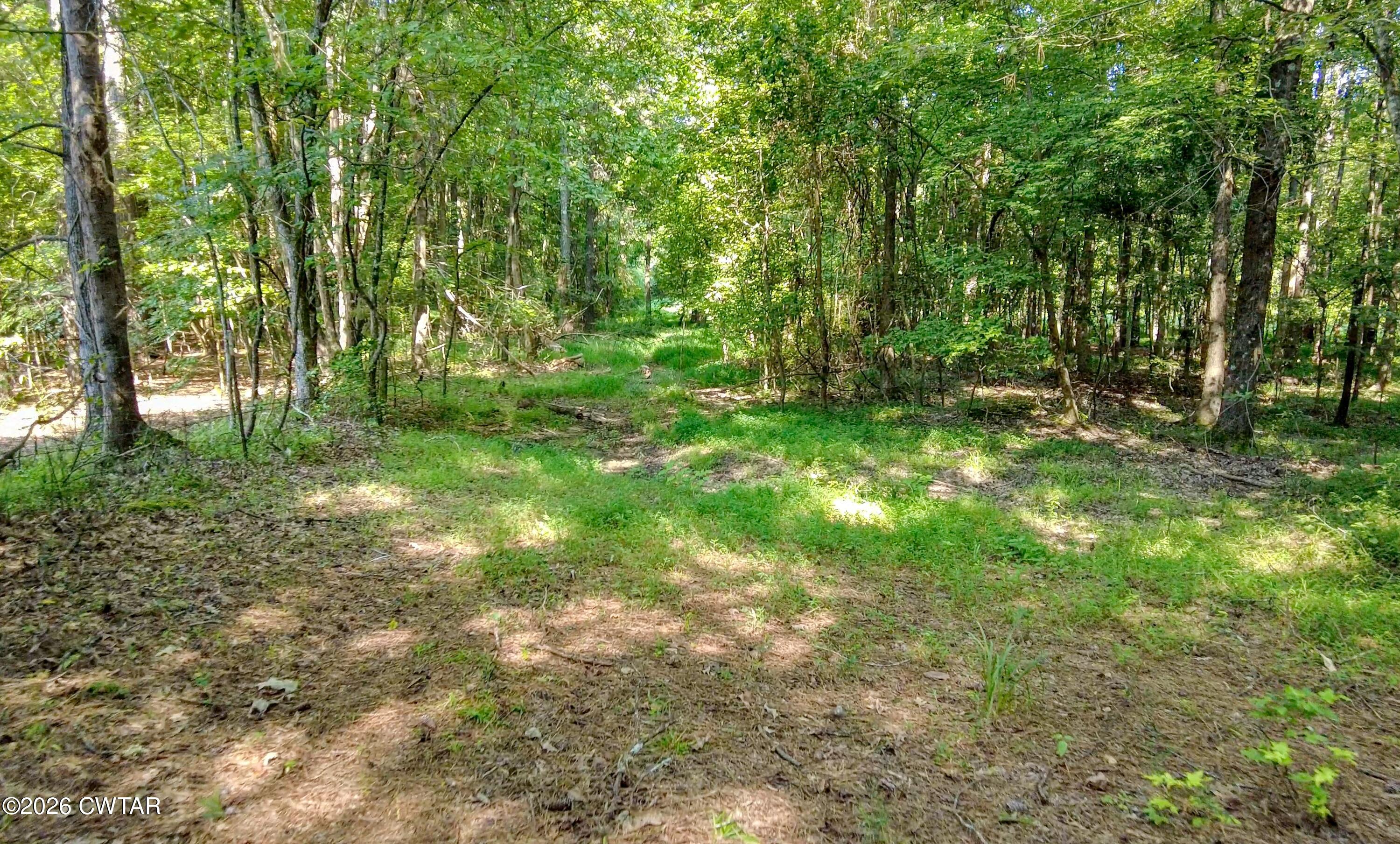 0 Finch Road Gleason, TN 38229 - Photo 17 of 25 HH2
