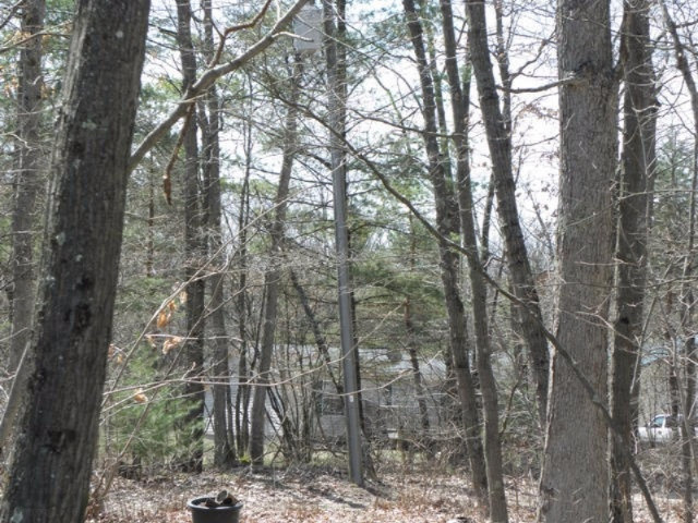 11411 Harris Road Montague, MI 49437 - Photo 12 of 12 woody area side