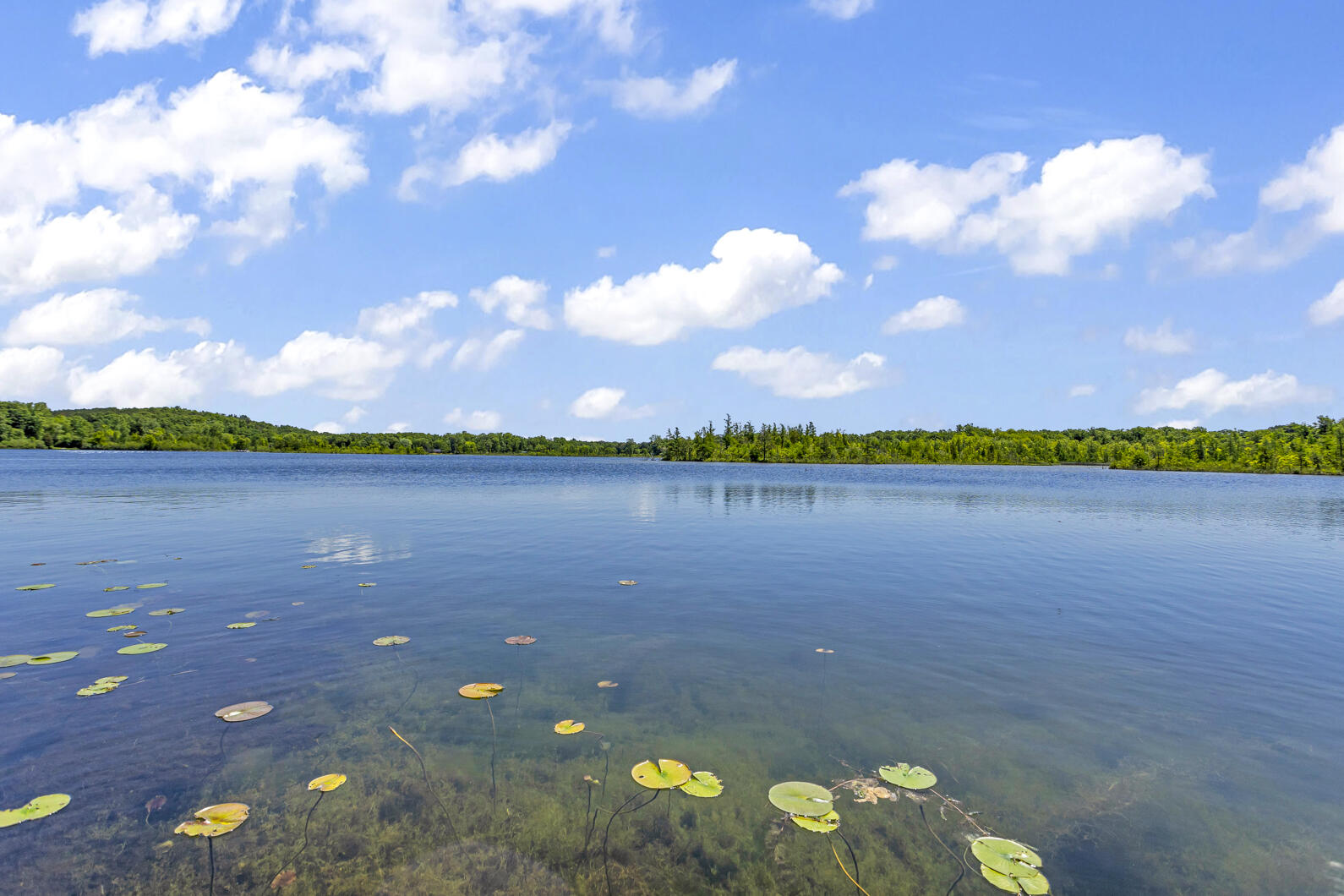 8295 South Jackson Road Clarklake, MI 49234 - Photo 25 of 35 Lake
