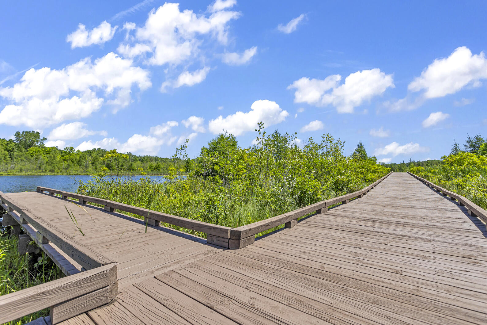 8295 South Jackson Road Clarklake, MI 49234 - Photo 26 of 35 Pond