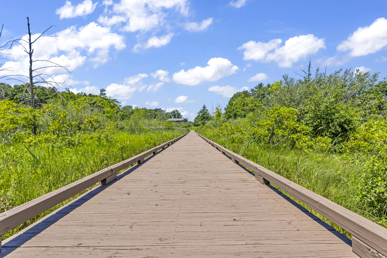 8295 South Jackson Road Clarklake, MI 49234 - Photo 27 of 35 Boardwalk2