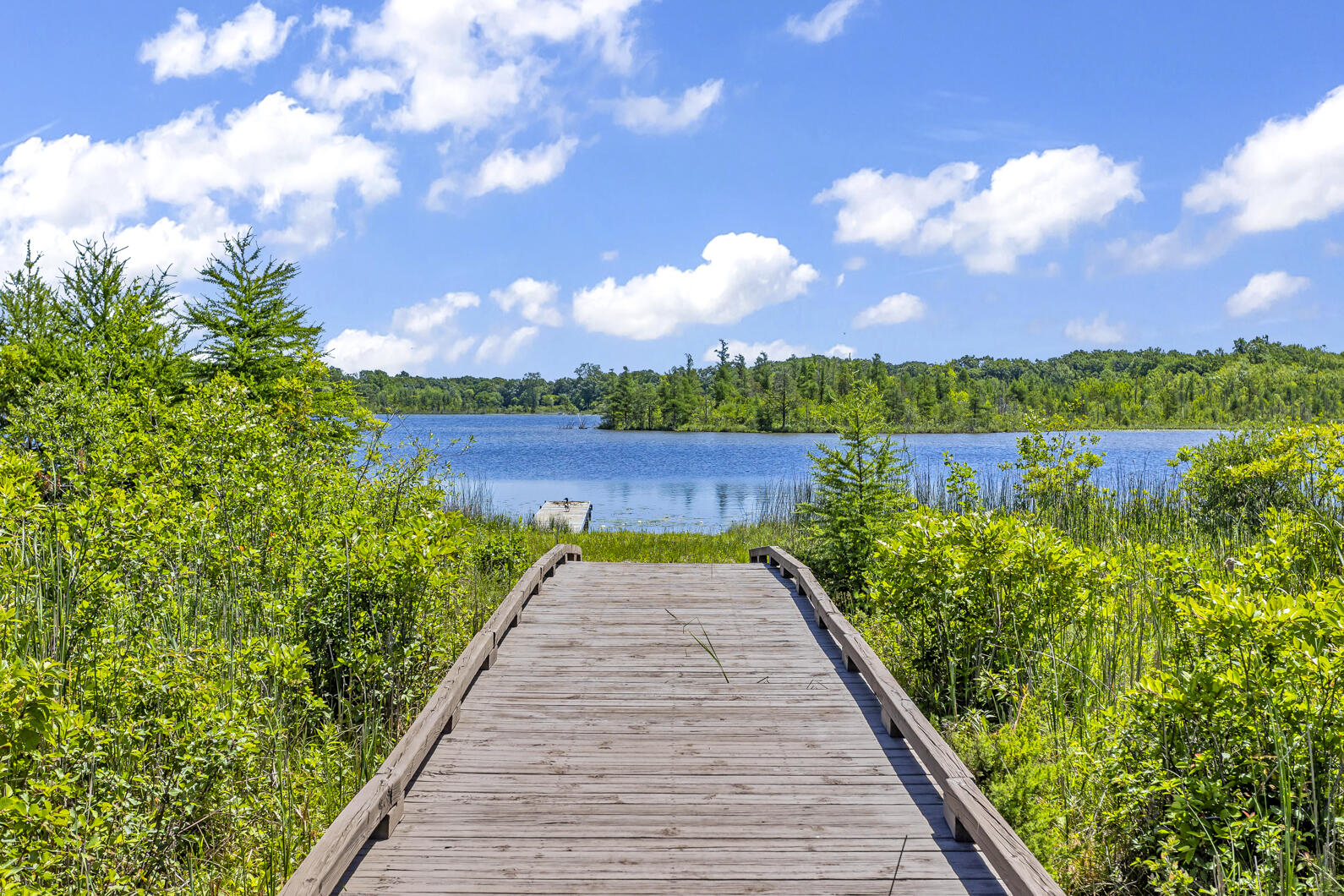 8295 South Jackson Road Clarklake, MI 49234 - Photo 29 of 35 LakeFront