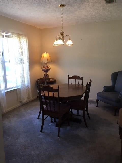 204 Pearl Bonnett Road Windsor, SC 29856 - Photo 6 of 19