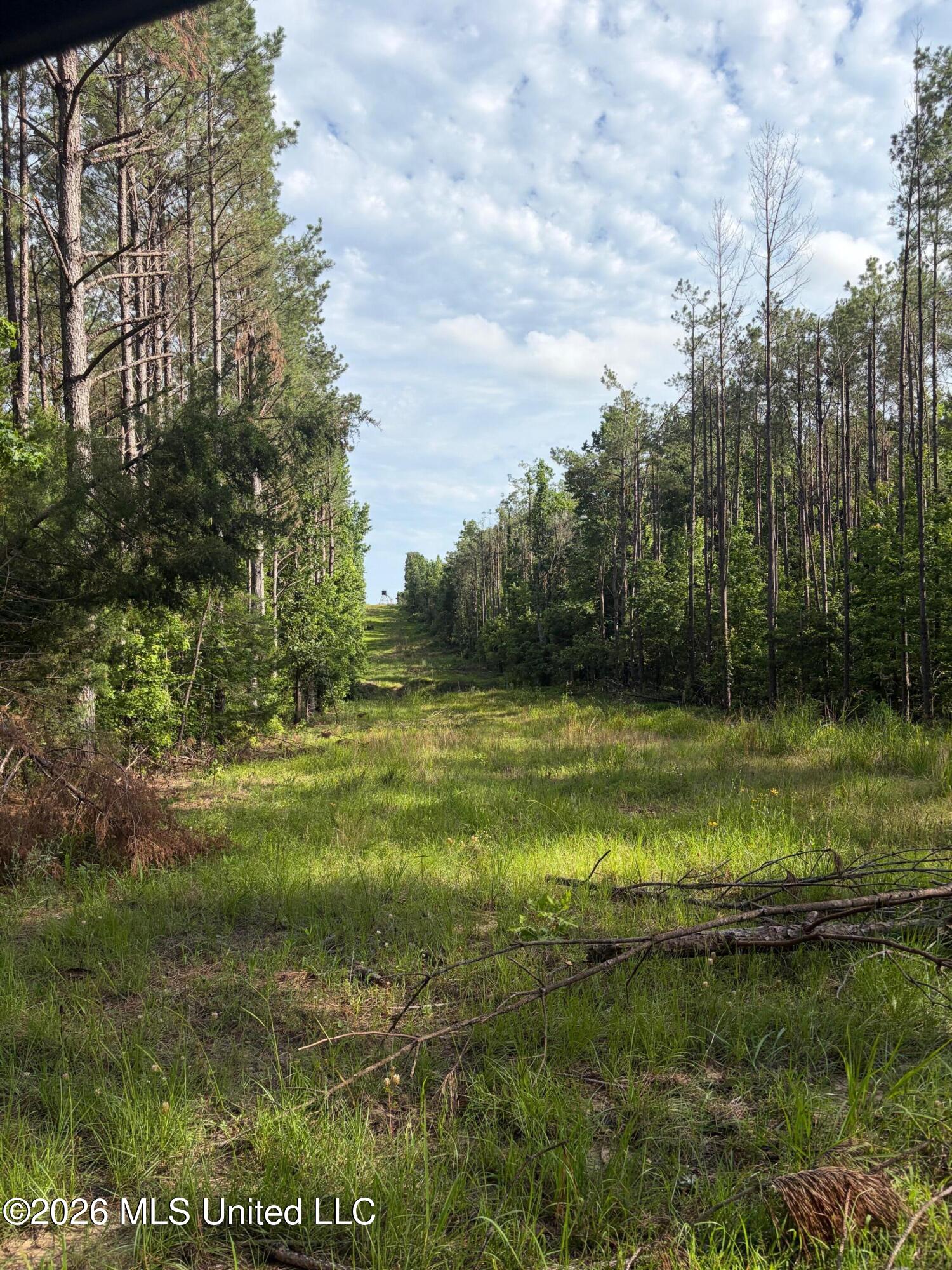 159 County Road Coila, MS 38923 - Photo 3 of 9 IMG_1302